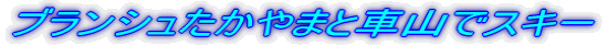 �u�����V���ƎԎR�ŃX�L�[