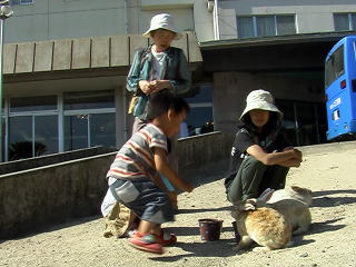 �E�T�M�̓��i��v�쓇�j