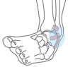 : http://www.suji-suji.com/blog2/images/nenza%5b1%5d.gif