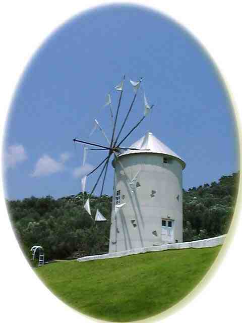 オリーブ公園の風車
