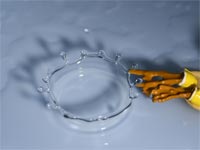 ����25cm���痎��