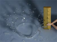 �N���E���̍���