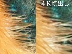 �؏o���Ƃ̔�r