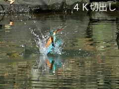 �؏o������э���