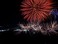 �R������̉ԉ�