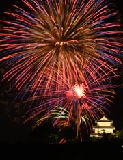 �l�T��Ɖԉ�