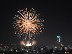 �^���[�^�r���̉��ɏオ�����ǂ�ǂ�