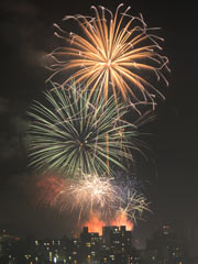 �r���̌������̉ԉ�