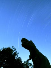 �_�u���_�C�������h���R