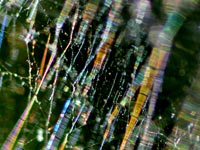 �w偂̑��A�[�g