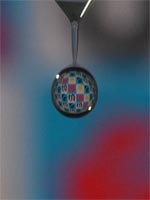 ���H�͏����������ꂢ