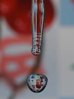 ���R�ł�������