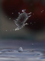 ���Ղ�����㌻��