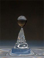 ���_���玴���؂��u��