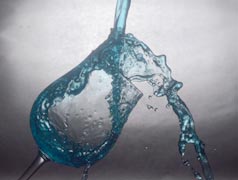 ���C���O���X�Ŋ��t