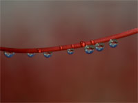 ���ׂ̐��H