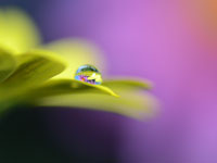 �H�̉f�荞��