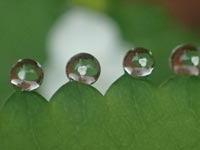 �t���̐��H