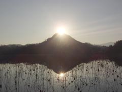 �R�N�O�̃_�u���_�C�������h���R