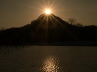 �_�C�������h���R