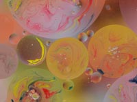 ���G�̋��n���������H