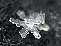 �Z�p�`�̐�̌���