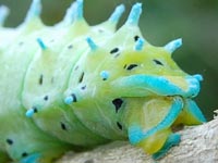 �J���t����