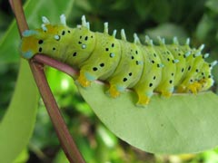 �J���t����