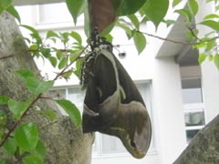 �H������