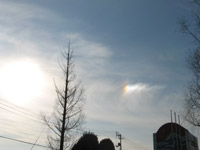 �����i�s�`�j�`�B�e�A2009.1.8.�l�؍��Z