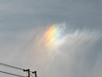 �F�Â������i�s�`�j�`�B�e�A2009.1.8.�l�؍��Z