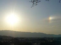 �����i�h���搶�B�e�A2007.3.�������j