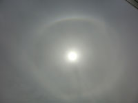 ����A�S���V��