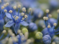 �K�N�A�W�T�C