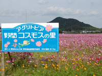 ��Ԃ̃R�X���X