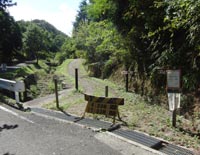 ���̉��ɂ��낢��Ȏ�ނ̔ފ݉Ԃ���