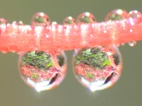 ���ׂ̐��H