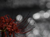 ���x��Ă��܂���