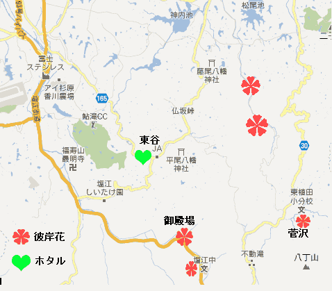 �q�K���o�i�̌Q���閧�}�b�v