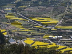 �]�c�̍؂̉�