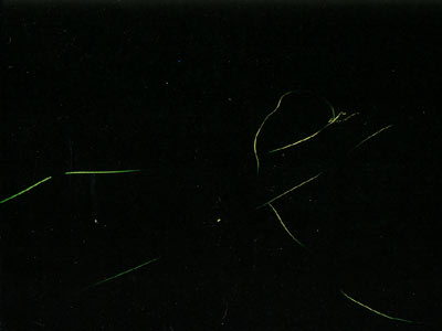 �z�^���̔�s�O��