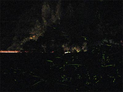 �����̃z�^��