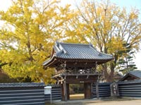 ������Ƌ�ǁA�E�������b�p���