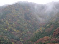 �r���̍g�t