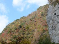 �ׂӋ��̍g�t