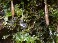 �ۂ�����ݏo����