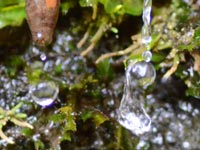 ����`����ȏ��ɐ��_�R������I