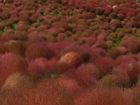 �g�t�����R�L�A