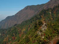 �ʎq���C���̍g�t