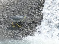 ����_���T�T�S�C